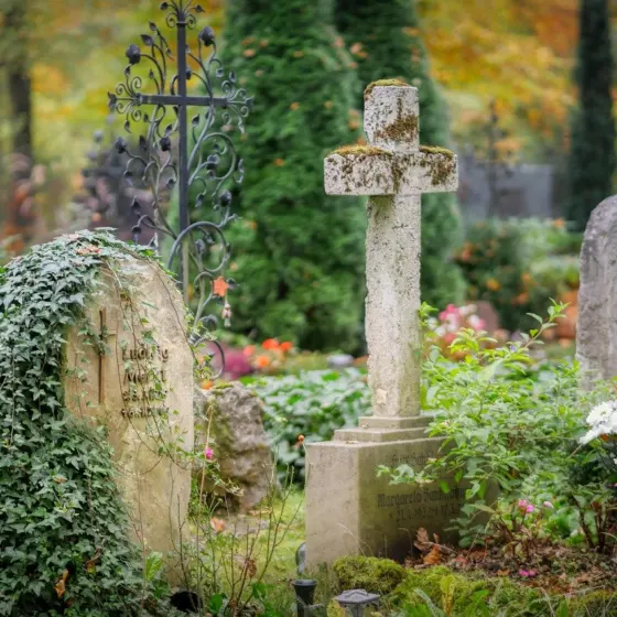 Small Memorial Garden Ideas: Create A Meaningful Tribute In Any Small Space (2026 Guide)
