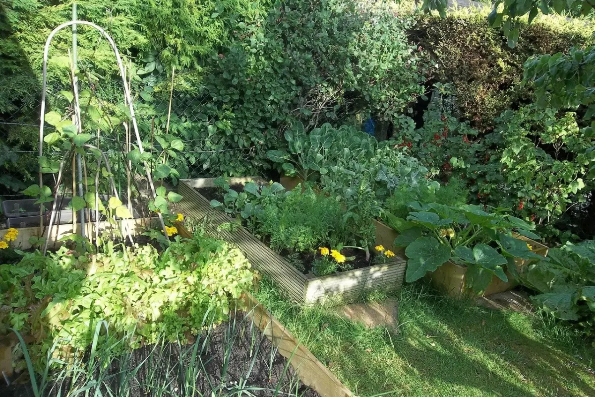 small vegetable garden ideas