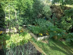small vegetable garden ideas