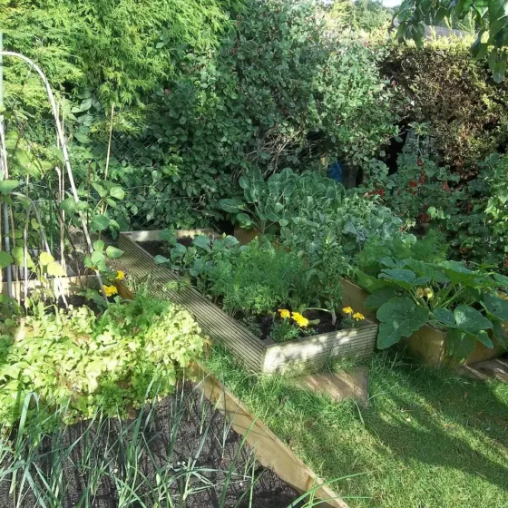 Small Vegetable Garden Ideas: 10 High-Yield Layouts and Smart Hacks for Tiny Spaces (2026)
