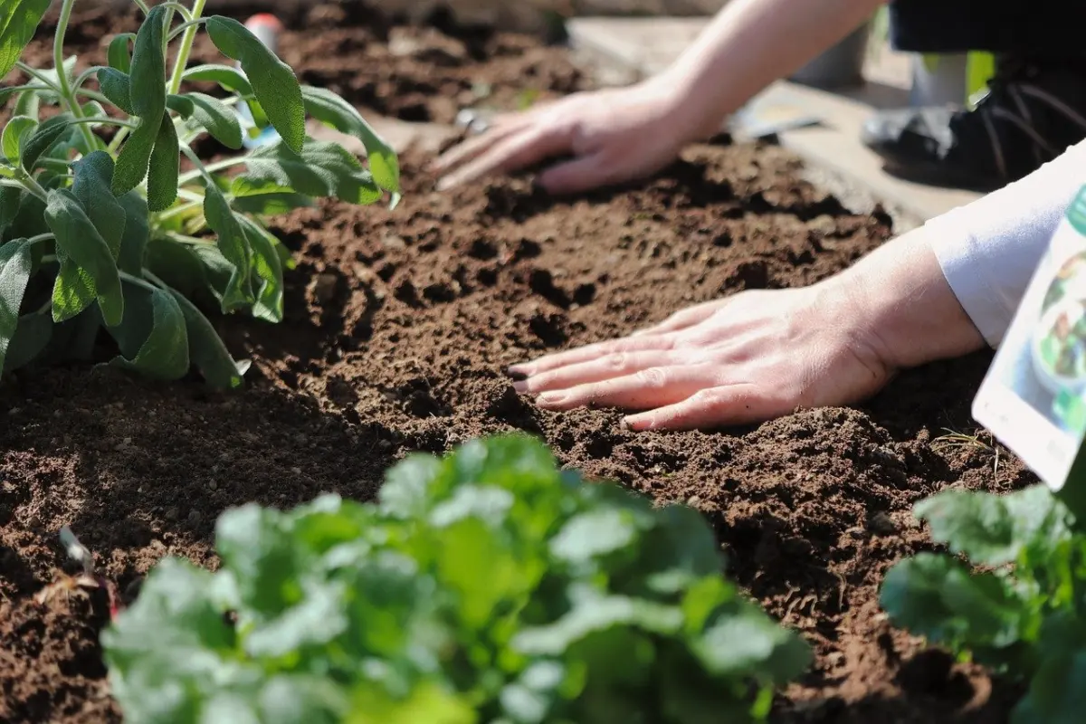 small backyard garden ideas