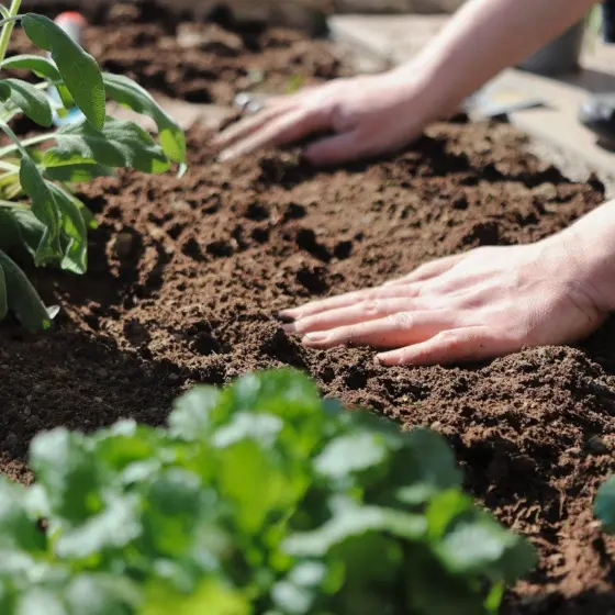 Small Backyard Garden Ideas: 12 Clever Ways To Maximize Space In 2026