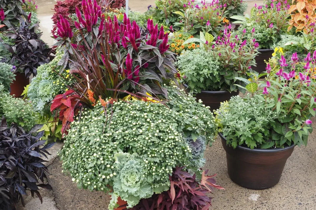 fall planter ideas