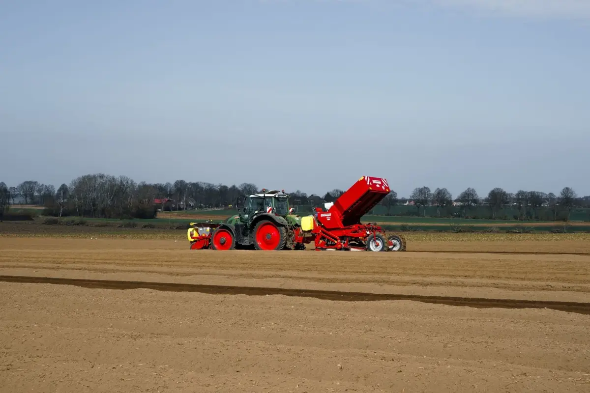 when is the best time to plant potatoes