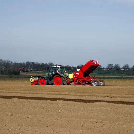 When Is The Best Time To Plant Potatoes? A Practical Guide For Every Climate (2026)