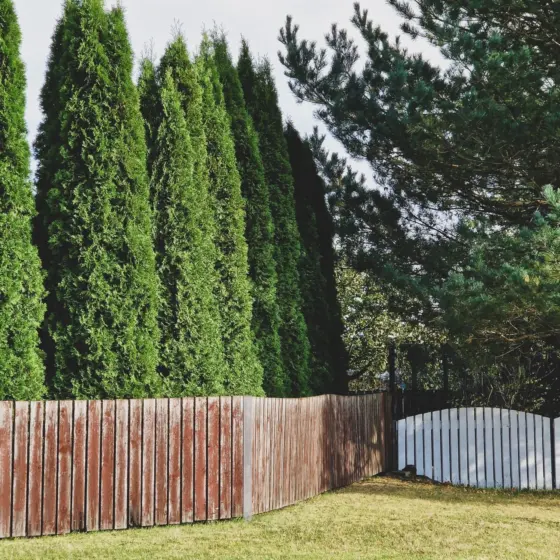 Backyard Privacy Ideas: Smart, Stylish Ways To Create Seclusion In 2026