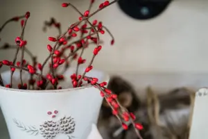 outdoor winter planter ideas