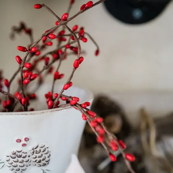 Outdoor Winter Planter Ideas: 15 Stylish, Low‑Maintenance Designs For Cold Climates (2026)