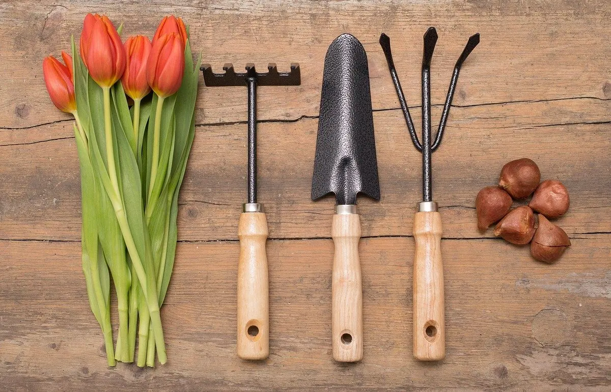 when to plant bulbs