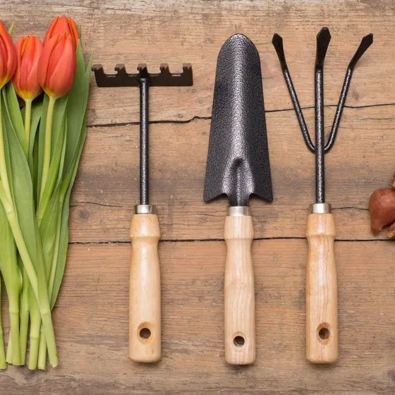 When To Plant Bulbs: A Seasonal Calendar For Gorgeous Blooms In 2026