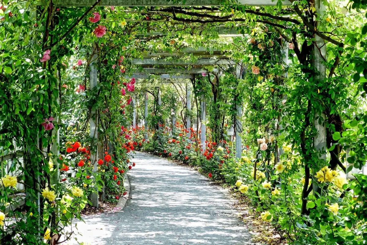 small pergola ideas