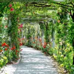 Small Pergola Ideas: Stylish, Space‑Saving Designs to Transform Tiny Yards in 2026