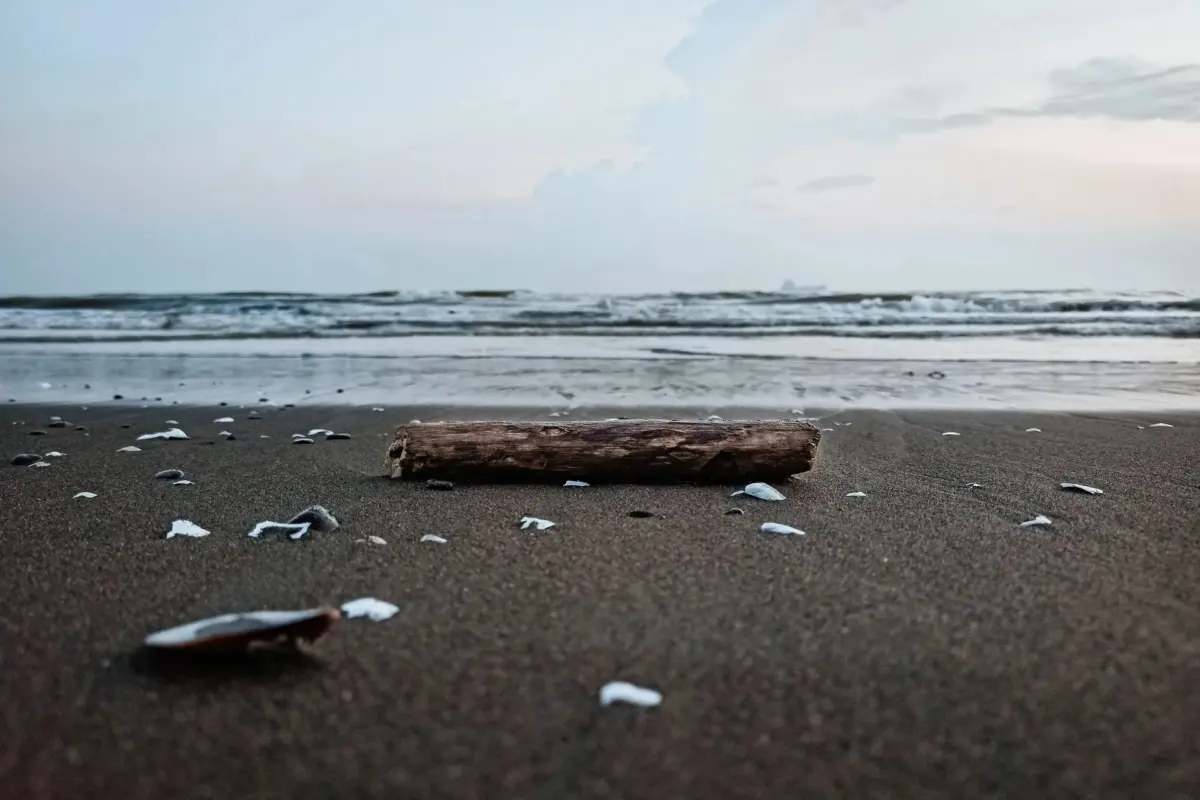 thunderonthegulf .com