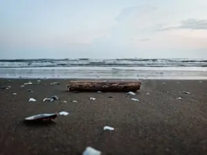 thunderonthegulf .com