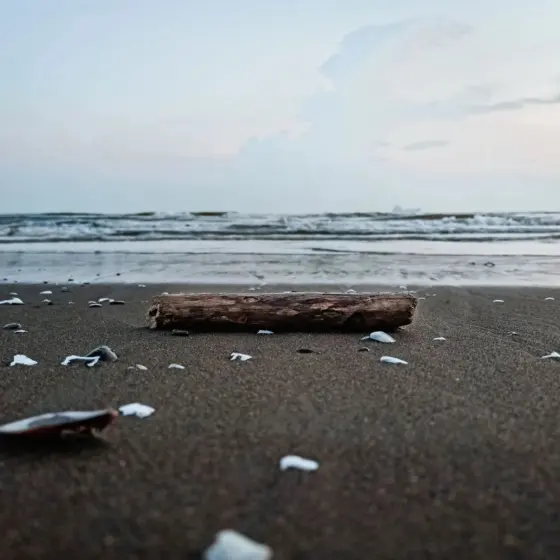 Thunderonthegulf .com