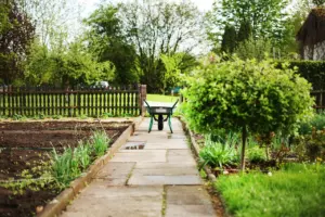 garden design ideas