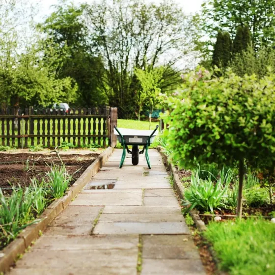Garden Design Ideas
