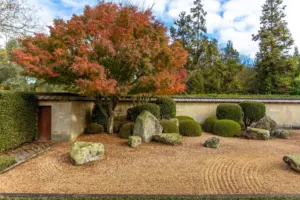 small japanese garden ideas