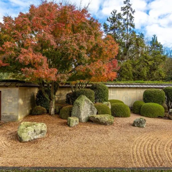 Small Japanese Garden Ideas: Create A Serene Mini Retreat In Your Yard (2026)